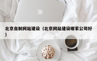 玉溪北京自制网站建设（北京网站建设哪家公司好）